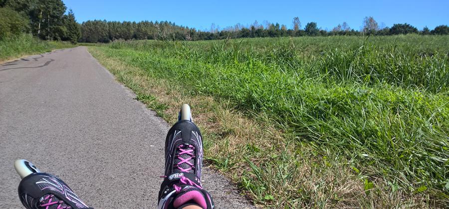 vélo voie, lac, forêt d'orient, lusigny sur barse, rollers, activité